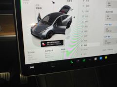 Tesla Model Y 615km Performance High-Performance AWD Version - ფოტო 20