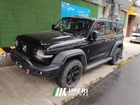 2021 Tank 300 Off-Road Edition 2.0T Conqueror - ავტომობილი ჩინეთიდან