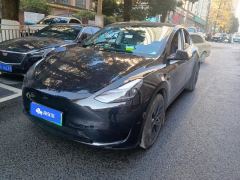 Tesla Model Y 554km Rear-Wheel Drive Edition - ფოტო 1