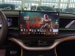 Denza D9 DM-i 980 AWD Luxury - ფოტო 12
