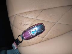 Denza D9 DM-i 980 AWD Luxury - ფოტო 8