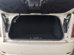 LEVC TX TX5 EREV Edition - ფოტო 18