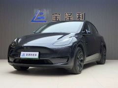Tesla Model Y Rear-Wheel Drive - photo 1