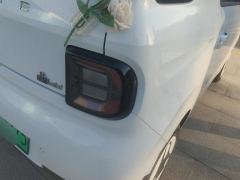 Geely Galaxy Panda mini 210km Yuanqi Bear - photo 5