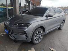 BYD Song PLUS DM-i 1.5L 160km Flagship - ფოტო 1