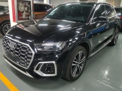 Audi Q5L 40 TFSI Luxury Dynamic Edition - фото 1