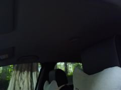 Honda Fit 1.5L Edition - ფოტო 15