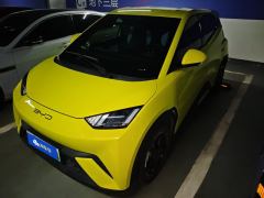BYD Seagull 305km Free Version - ფოტო 1