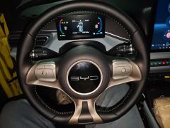 BYD Seagull 305km Free Version - ფოტო 18