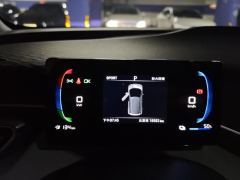 BYD Seagull 305km Free Version - ფოტო 20