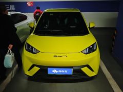 BYD Seagull 305km Free Version - ფოტო 3
