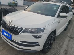 Skoda Karoq TSI280 Luxury Edition - ფოტო 1