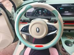 Ora Great Wall Good Cat 401km Luxury Edition - ფოტო 18
