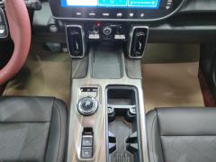 Haval Great Wall Big Dog Great Wall Dog 1.5T 2WD Edge Pastoral Edition - фото 19