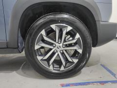 Haval Great Wall Big Dog Great Wall Dog 1.5T 2WD Edge Pastoral Edition - фото 6