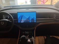 Denza D9 DM-i 1.5T 180km AWD Version 7 - ფოტო 17