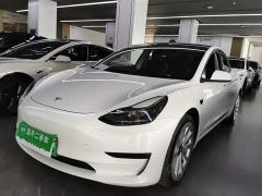 Tesla Model 3 Rear-Wheel Drive - photo 1