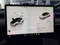 Tesla Model 3 Rear-Wheel Drive - photo 11