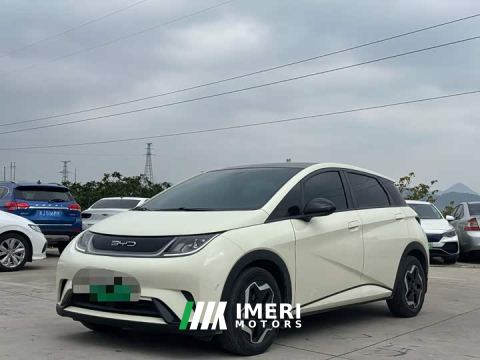 2023 BYD Dolphin 405km Fashion Edition - автомобиль из Китая