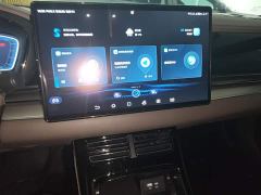 BYD Han DM-i 121KM Honor Edition - ფოტო 12