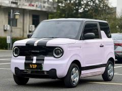 Geely Panda Mini 200km Endurance Edition - ფოტო 1