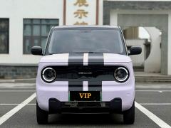 Geely Panda Mini 200km Endurance Edition - ფოტო 2