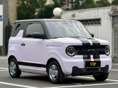 Geely Panda Mini 200km Endurance Edition - ფოტო 3