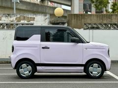 Geely Panda Mini 200km Endurance Edition - ფოტო 4