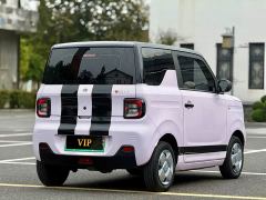 Geely Panda Mini 200km Endurance Edition - ფოტო 6