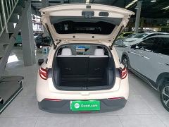 Geely Star Wish 310km Dream Edition - ფოტო 18