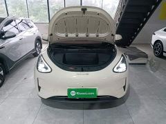 Geely Star Wish 310km Dream Edition - ფოტო 19