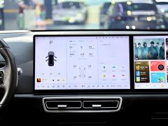 Li Auto L8 Pro - ფოტო 12