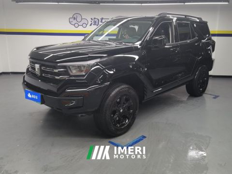 2024 Tank 400 New Energy 2.0T 105km Off-road version 37.1kWh - ავტომობილი ჩინეთიდან