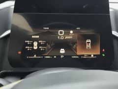 Haval Great Wall Big Dog Great Wall Dog 1.5T 2WD Edge Pastoral Edition - photo 20