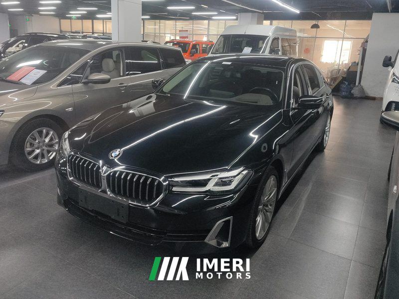 BMW 5 Series 530Li Luxury Edition Premium Package - car from China