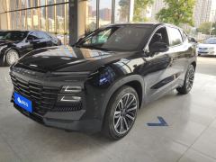 Jetour Dasheng 1.6T MAX - photo 1