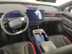 Jetour Dasheng 1.6T MAX - photo 16