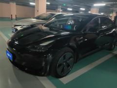 Tesla Model 3 556km Rear-Wheel Drive Edition - ფოტო 1