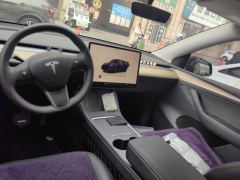 Tesla Model Y 545km Rear-Wheel Drive Edition - ფოტო 16