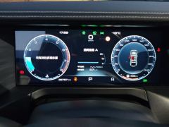 Tank 300 Off-Road Edition 2.0T Conqueror - ფოტო 20
