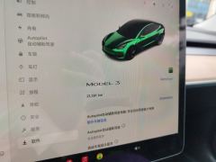 Tesla Model 3 556km Rear-Wheel Drive Edition - ფოტო 20