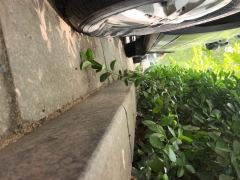 Maxus V90 2.0T 5/6 - photo 10