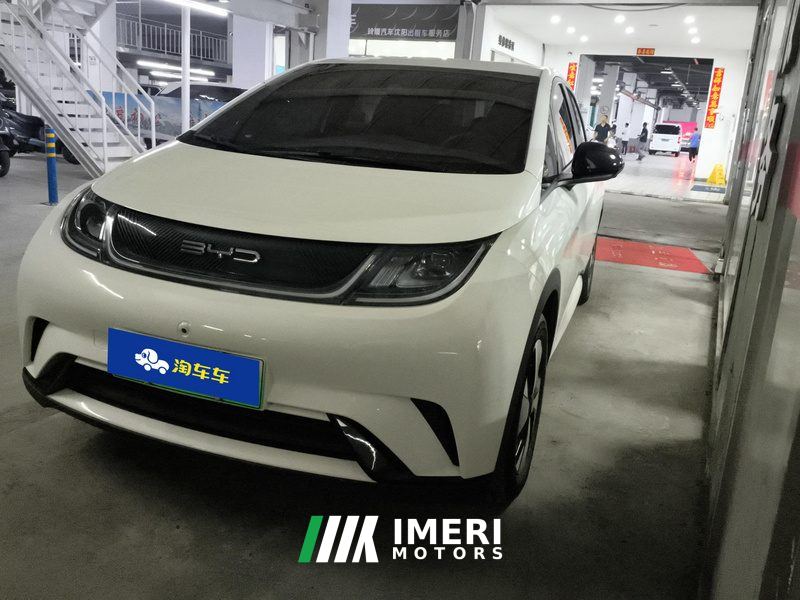 BYD Dolphin 420km Free Version