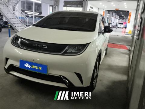 2023 BYD Dolphin 420km Free Version - car from China