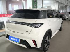 BYD Dolphin 420km Free Version - ფოტო 2
