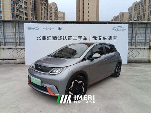2022 BYD Dolphin 405km Fashion Edition - ავტომობილი ჩინეთიდან