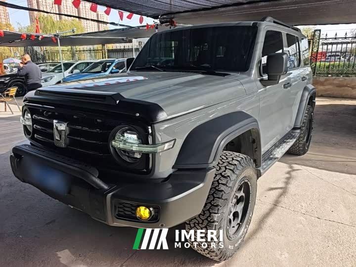 Tank 300 Off-Road Edition 2.0T Conqueror - ავტომობილი ჩინეთიდან
