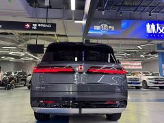 Denza N9 Flagship - ფოტო 4