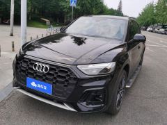 Audi Q5L 45 TFSI Luxury Dynamic - фото 1