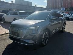 Audi Q5 e-tron 50 e-tron quattro Glory Edition Brocade Package - ფოტო 1